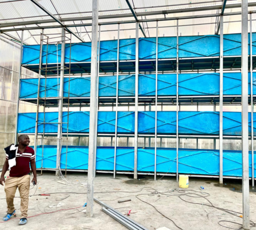 Vertical Farm's first commerical production facility